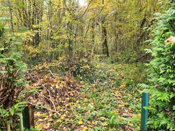 Achat - Maison | Maison Ville-sous-la-Ferté 10310 4 pièces 91 m 2 180 m 2