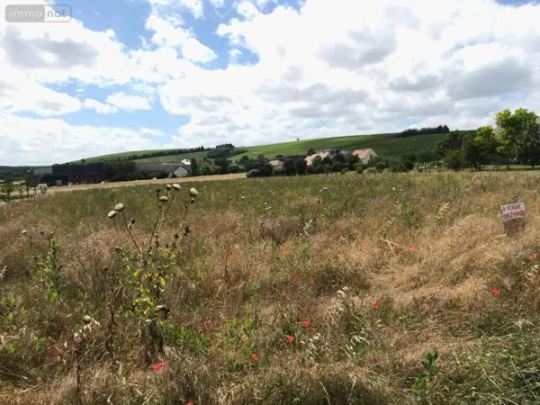 Achat - Terrain à bâtir Verdigny 18300 5810 m 2