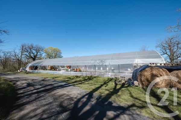 Maison à vendre  5 pièces - 110 m2 LACHAPELLE AUZAC - 46