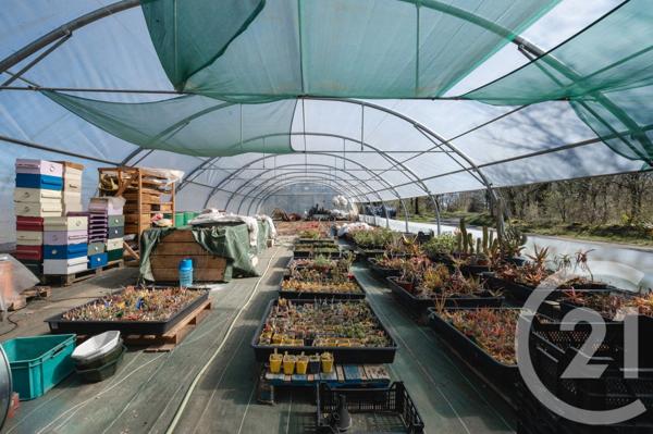 Maison à vendre  5 pièces - 110 m2 LACHAPELLE AUZAC - 46