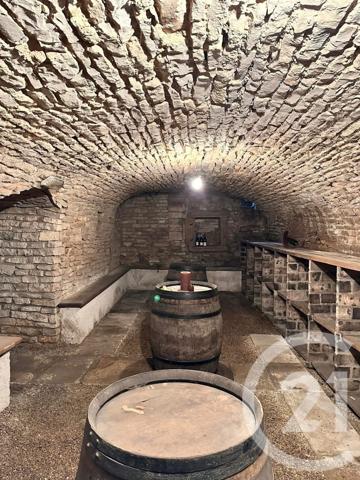 Immeuble à vendre  216,60 m2 BEAUNE - 21
