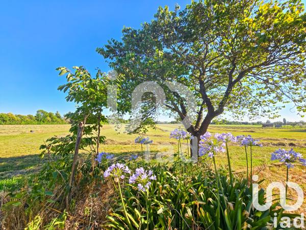 Maison à vendre 10 pièces 252 m² Arles