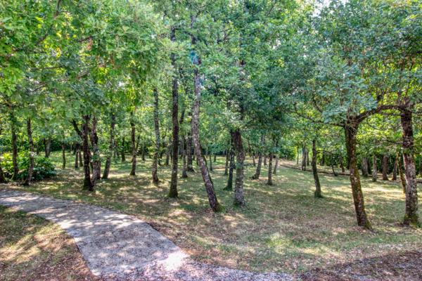 Propriété 180m2 avec piscine, pool-house, carport et grand jardin arboré