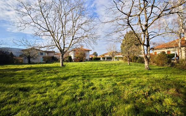 Terrain à vendre    Mazamet