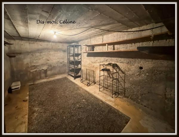 Maison à vendre 5 pièces SAINTE MARIE DE CUINES (73)