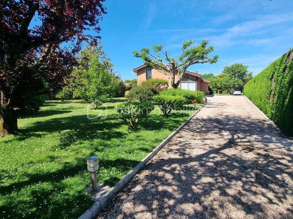 Maison familiale de charme sur parc arboré de 3000 m² – Quartier recherché des Écarts
Située dans le très prisé quartier des Écarts, à proximité du parc de la Ramée, venez découvrir cette maison d'environ 185 m² qui vous séduira par son environnement privilégié et son magnifique terrain paysager de 3000 m², véritable écrin de verdure.
Dès l'entrée, une grande allée vous mène à la maison. Puis la porte s'ouvre sur le rez-de-chaussée climatisé composé d'un séjour avec cheminée, donnant accès à une grande terrasse couverte. Vous profiterez également d’une salle à manger lumineuse prolongée par une véranda et d’une cuisine indépendante récemment rénovée. 
Côté nuit, ce niveau propose une chambre, une salle d’eau, ainsi qu’un vaste espace modulable pouvant être aménagé en chambre supplémentaire, avec un accès direct à l’extérieur et à la piscine.
Un cellier/buanderie, deux WC ainsi qu’un double garage complètent l'ensemble.
À l’étage, une spacieuse mezzanine surplombe élégamment la salle à manger et dessert deux chambres, une salle d’eau et un WC indépendant.
Le jardin, équipé d'un puits et d'un arrosage automatique, s’apparente à un véritable parc arboré, agrémenté d’arbres fruitiers et d’ornement ; il est entièrement clos par de belles haies soigneusement entretenues. 
Atout supplémentaire : le terrain est divisible et constructible. 
Un bien rare dans un cadre recherché, idéal pour une famille en quête de tranquillité, d’espace et de nature.