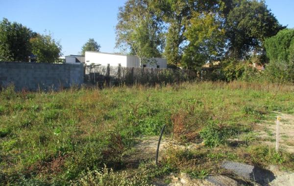 Vente Terrain Sainte-foy   