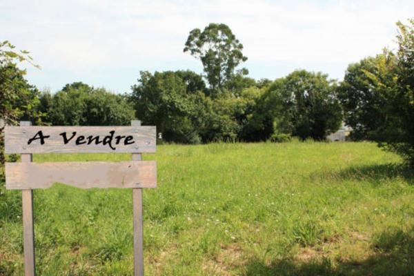 Terrain agricole