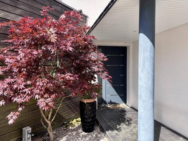 Maison à vendre 5 pièces de 202 m²