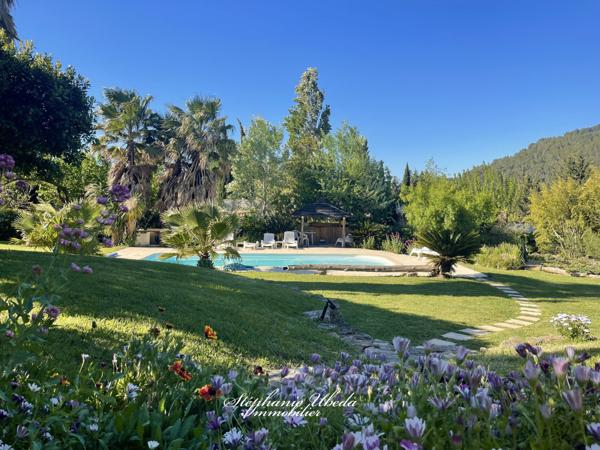 Cornillon-Confoux (13250) Propriété au charme exotique dans une cadre luxuriant.