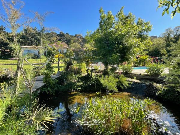 Cornillon-Confoux (13250) Propriété au charme exotique dans une cadre luxuriant.