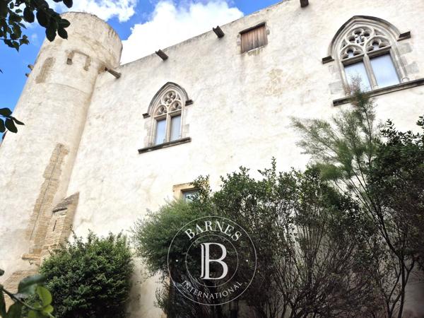 Mezel, Château 4 Chambres -  825 m² à vendre