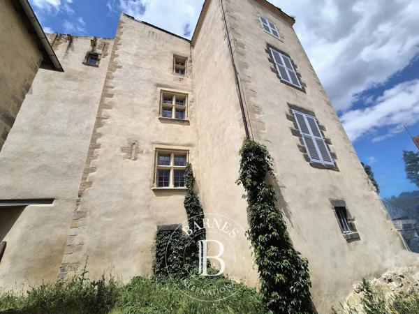 Mezel, Château 4 Chambres -  825 m² à vendre