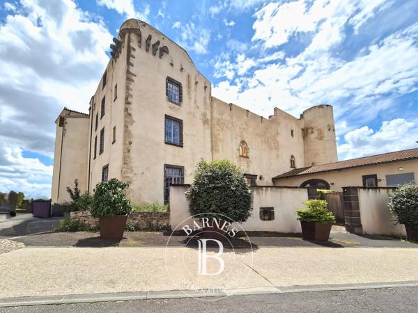 Mezel, Château 4 Chambres -  825 m² à vendre