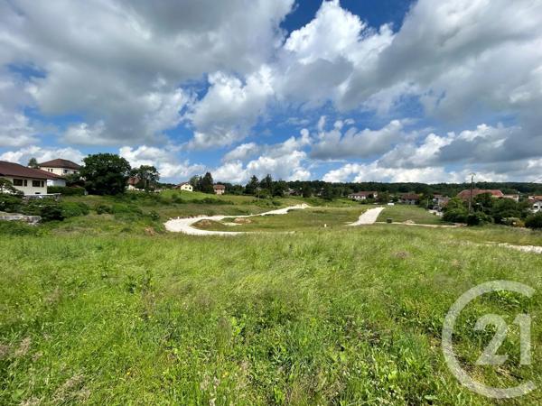 Terrain à vendre  800 m 2   LES ALLIES  - 25