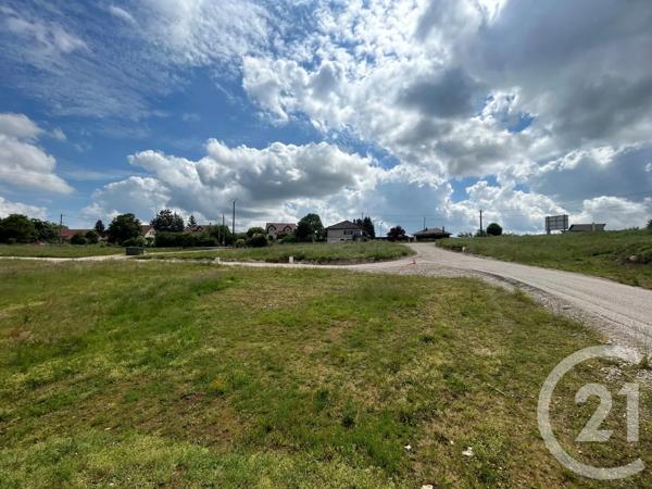 Terrain à vendre  800 m 2   LES ALLIES  - 25
