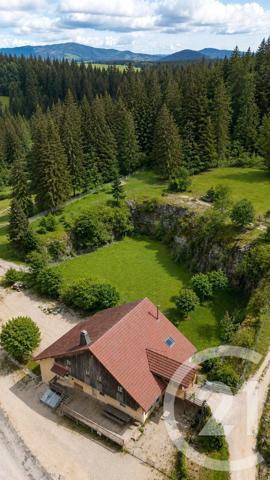 Maison à vendre  10 pièces - 297 m 2   LES FOURGS  - 25