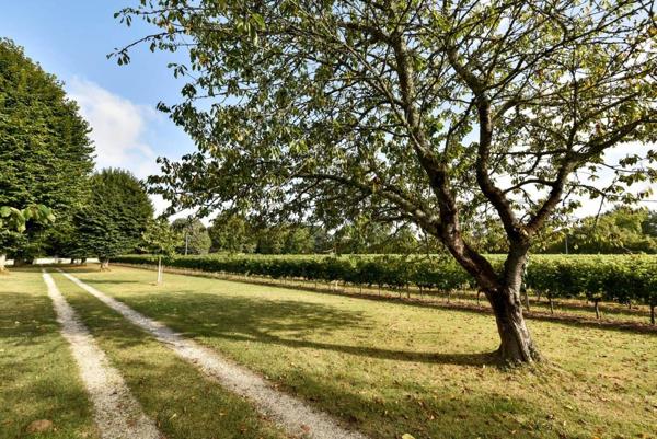 Bordeaux Rive droite Demeure de prestige  12 pièce(s) 450 m2