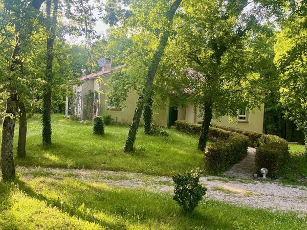 Vente / Maison et grand terrain