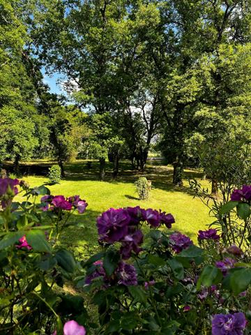 Vente / Maison et grand terrain