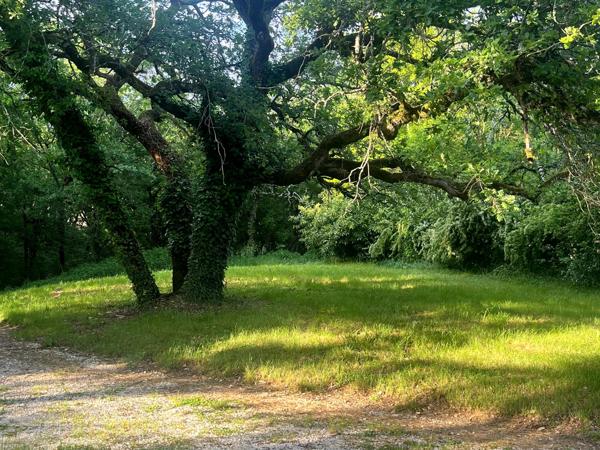 Vente / Maison et grand terrain