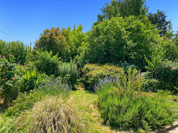 Courtenay (45320) CHANTECOQ