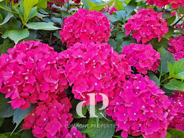 Condom (32100) Élégant Manoir du XVIIIe siècle avec Tours au coeur de la Gascogne