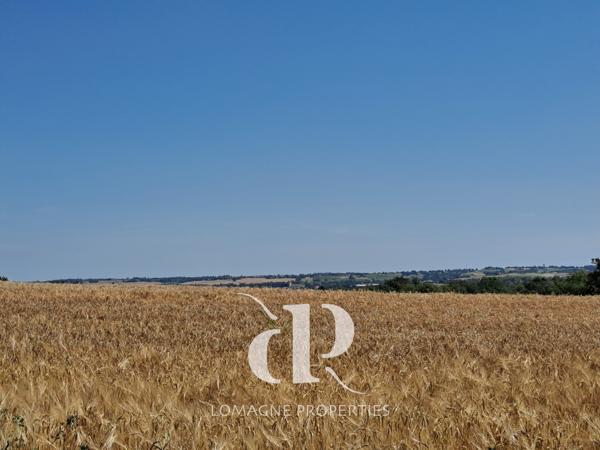 Condom (32100) Élégant Manoir du XVIIIe siècle avec Tours au coeur de la Gascogne