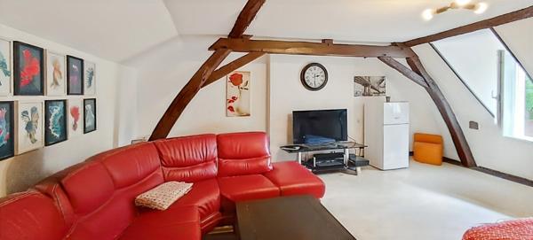 Maison à vendre 17 pièces (49)