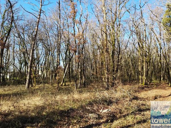 Terrain constructible 869 m2 à Pranzac à 15 mn de Ruelle