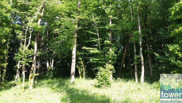 Terrain constructible 869 m2 à Pranzac à 15 mn de Ruelle