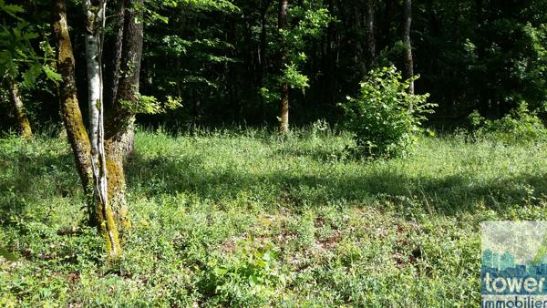 Terrain constructible 869 m2 à Pranzac à 15 mn de Ruelle