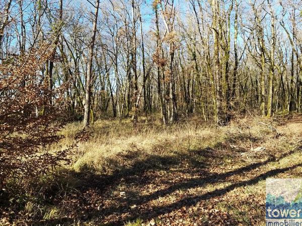 Terrain constructible 869 m2 à Pranzac à 15 mn de Ruelle