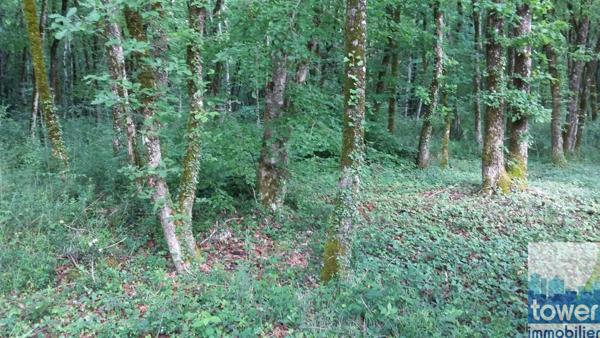 Terrain constructible 869 m2 à Pranzac à 15 mn de Ruelle