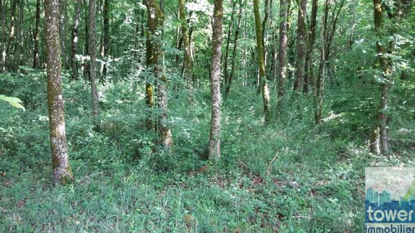 Terrain constructible 869 m2 à Pranzac à 15 mn de Ruelle