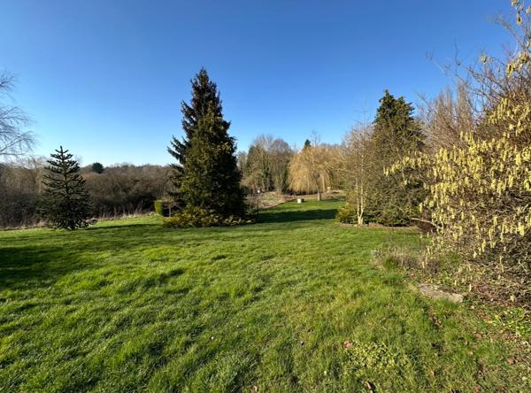 Vente / Maison et grand terrain