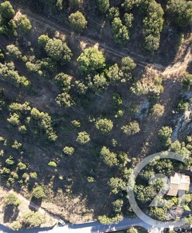 Terrain à vendre  3502 m2 MONTICELLO - 202