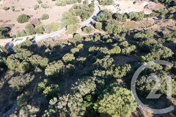 Terrain à vendre  3502 m2 MONTICELLO - 202