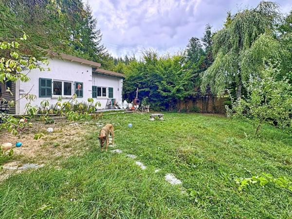 Maison à vendre 2 pièces LUCINGES (74)