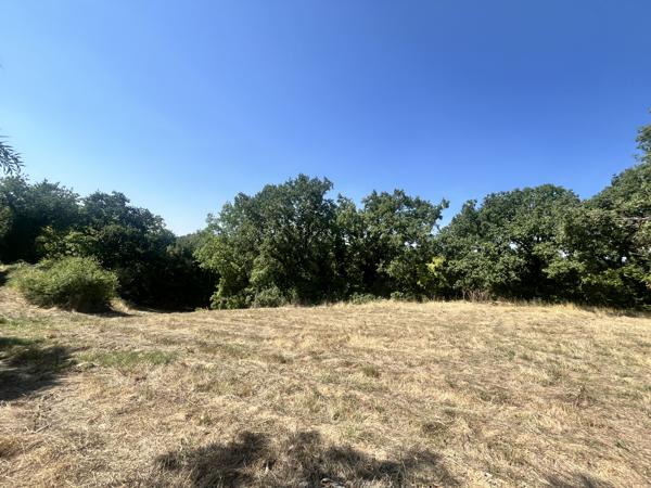 TERRAIN À BÂTIR DE 1 660 M² – HOMPS (GERS)