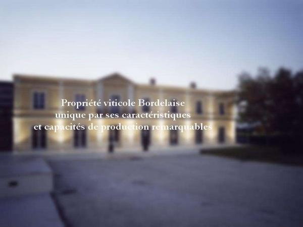 Château et son important domaine viticole à vendre dans le Bordelais