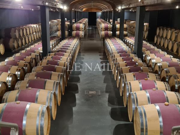 Château et son important domaine viticole à vendre dans le Bordelais
