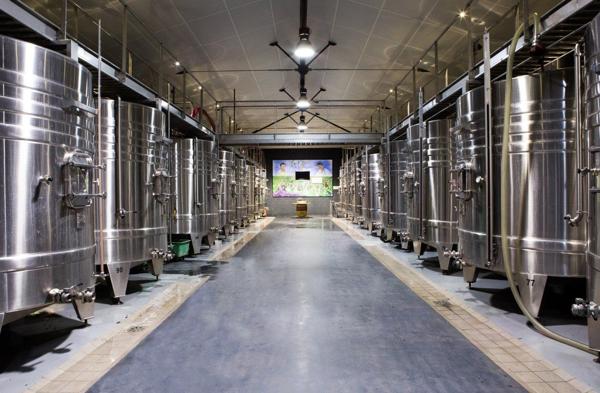 Château et son important domaine viticole à vendre dans le Bordelais