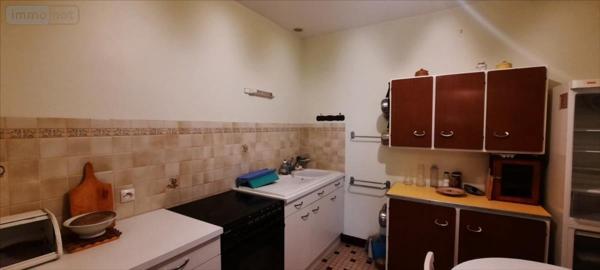 Pavillon à vendre à Vicq-sur-Nahon dans l'Indre (36600), ref : 021/1477