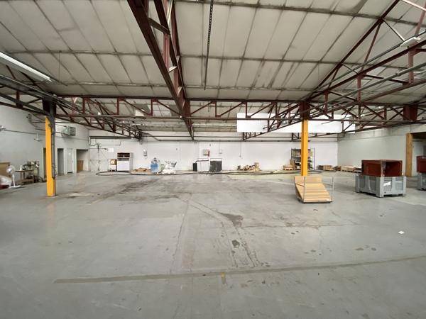 Local professionnel - MONTBRISON