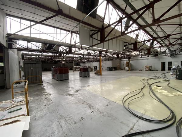 Local professionnel - MONTBRISON