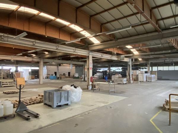 Local professionnel - MONTBRISON