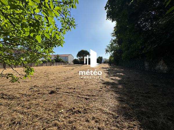 Dépendance 130m² en pierre sur grand terrain – Luçon