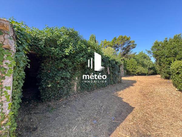 Dépendance 130m² en pierre sur grand terrain – Luçon