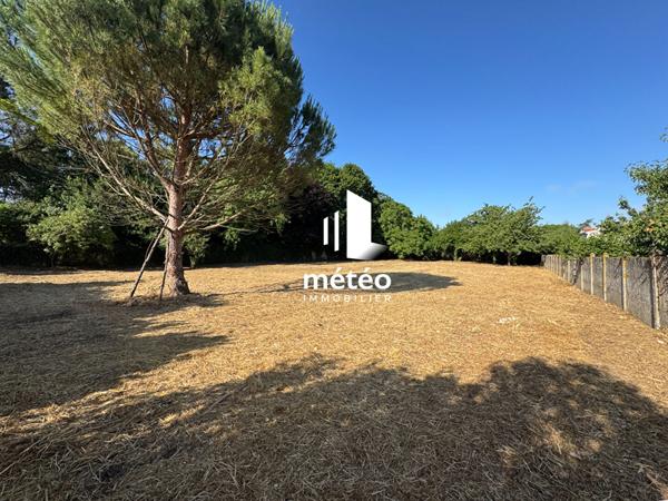Dépendance 130m² en pierre sur grand terrain – Luçon